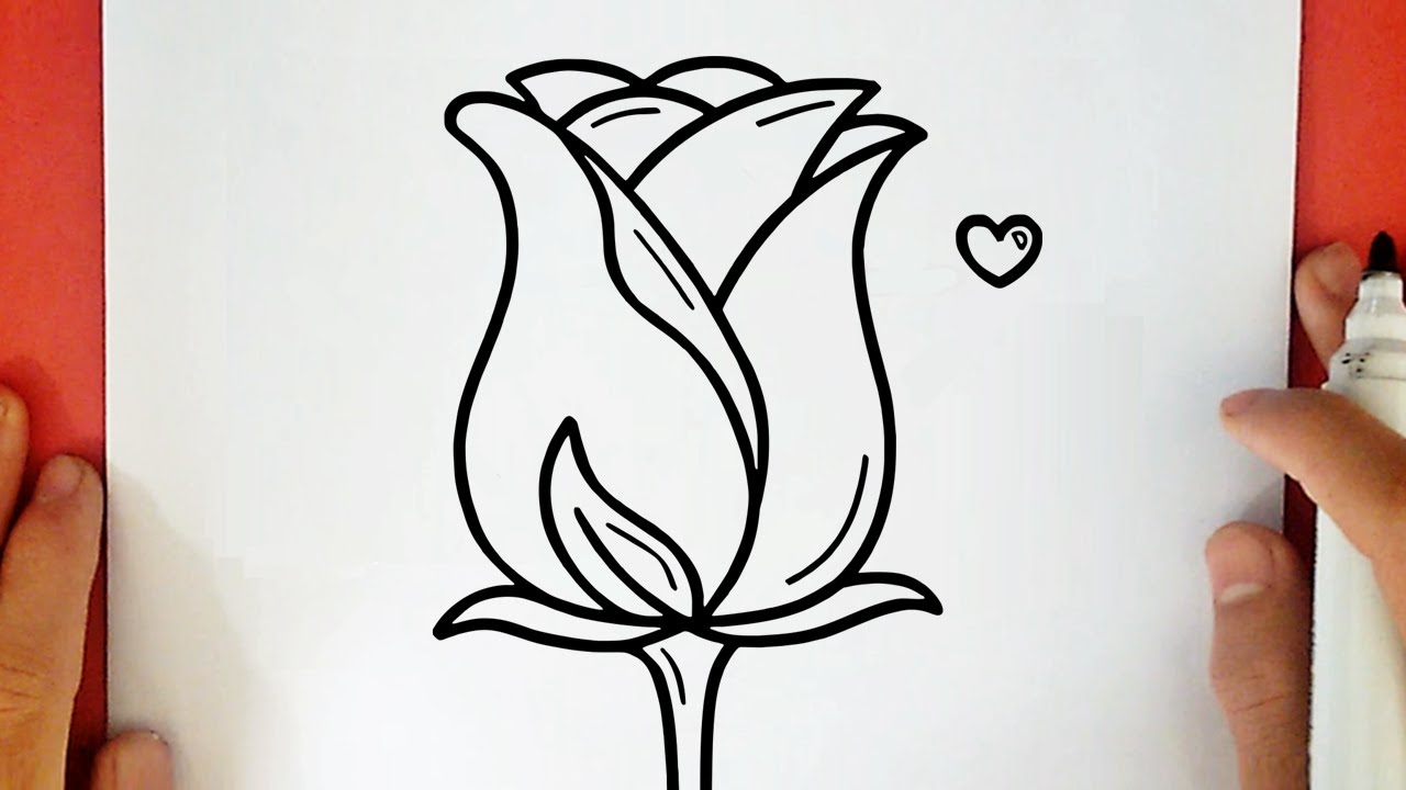 HOW TO DRAW A ROSE