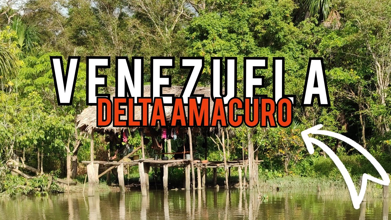 &iquest;Conoces los paisajes del delta amacuro de Venezuela ?