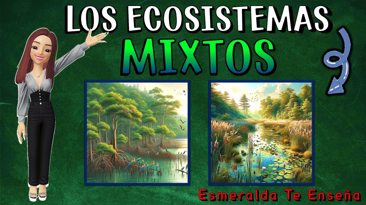 🌍🐊LOS ECOSISTEMAS MIXTOS: Sus Tipos, Caracter&iacute;sticas, Flora y Fauna🍃🐠