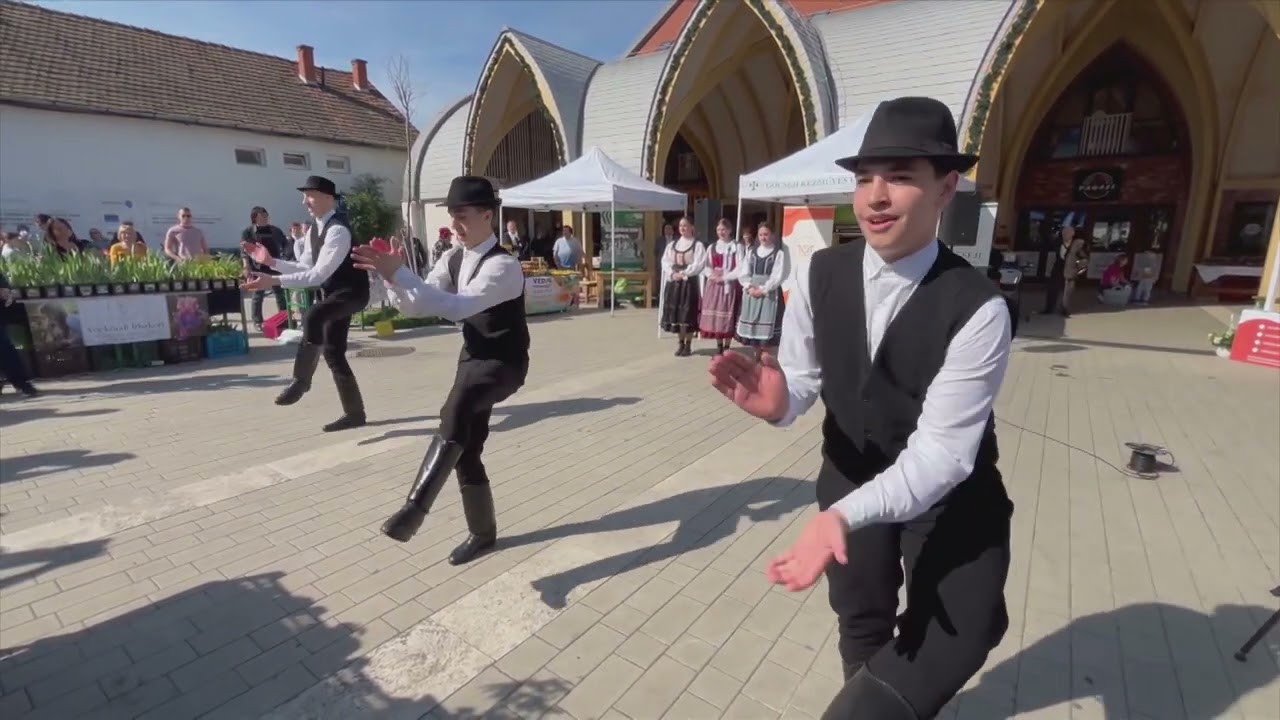 A Zalai Táncegyüttes műsora a II. Egerszegi Palántafesztiválon