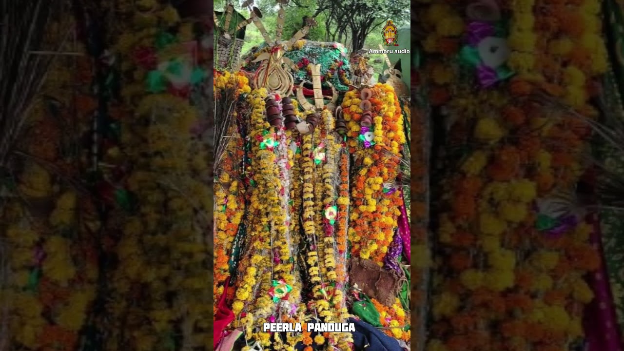 Muharram Panduga || Hussain Badshah ,lalaidhar , Imam qasim , Hazrat qasim | Karnataka #muharram