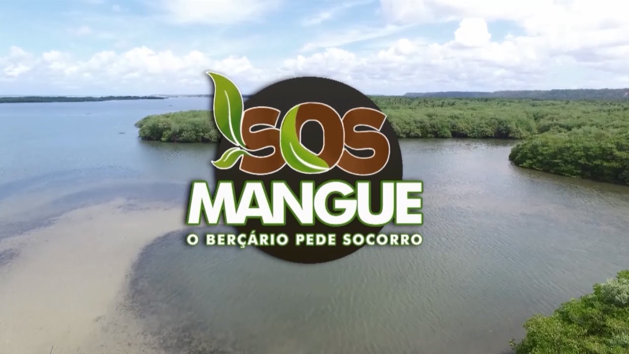 SOS Mangue: o berçário pede socorro