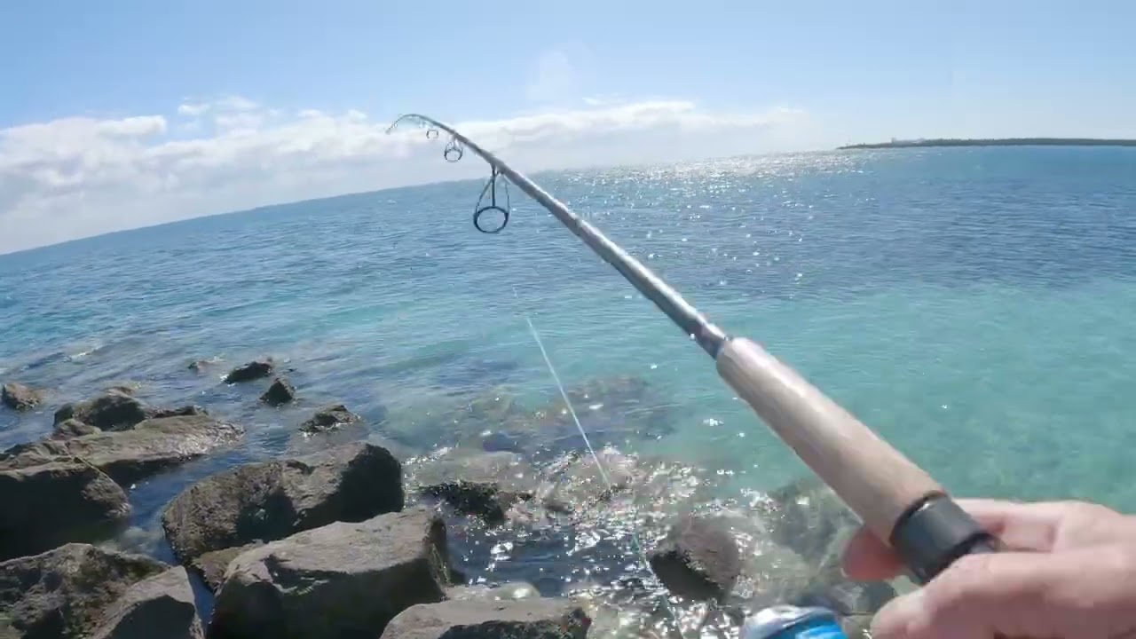 LOS 🔥MEJORES 🔥LUGARES PARA LA PESCA❌ CON ARTIFICIALES EN MIAMI ❌🧨🧨🎣🎣🎣💪🏻
