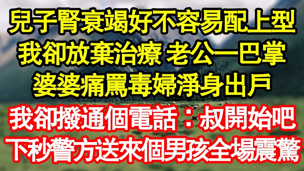 兒子腎衰竭好不容易配上型，我卻放棄治療 老公一巴掌，婆婆痛罵毒婦淨身出戶，我卻撥通個電話：叔開始吧，下秒警方送來個男孩全場震驚真情故事會|老年故事|情感需求|養老|家庭
