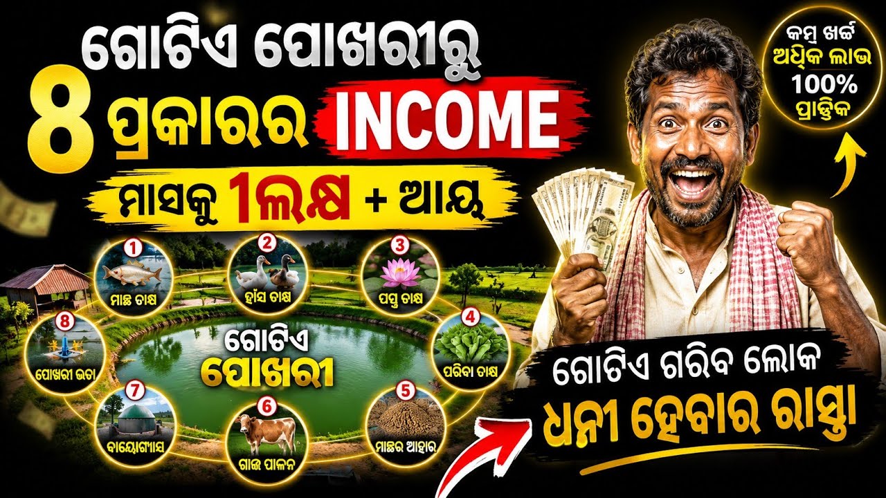 ଗୋଟିଏ ପୋଖରୀରୁ 1ଲକ୍ଷ income | Integrated Fish Farming Business Plan | ମାସକୁ 1 ଲକ୍ଷ+ ଆୟ!