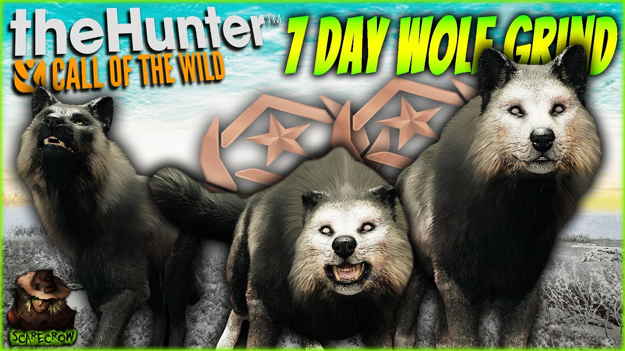 We Hunted The Great One Gray Wolf For 7 Days And Got Double Hollow Great Ones! Call of the wild
