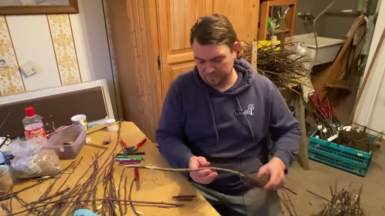 Apfelbaum Unterlagen Unterschiede und Verwendungsarten @baumschulevielhaber2713