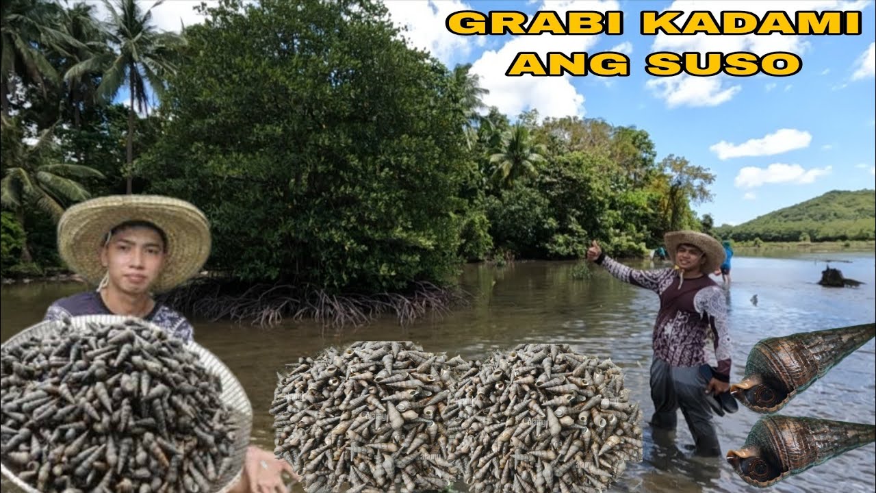 LIBO LIBONG LIBRENG SUSO PAMUMULOT SA PALAISDAAN SARAP GINATAAN