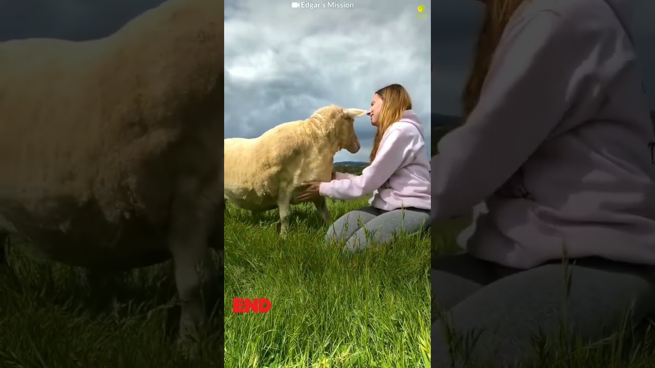 End Speciesism Weekly Reminder Part 34