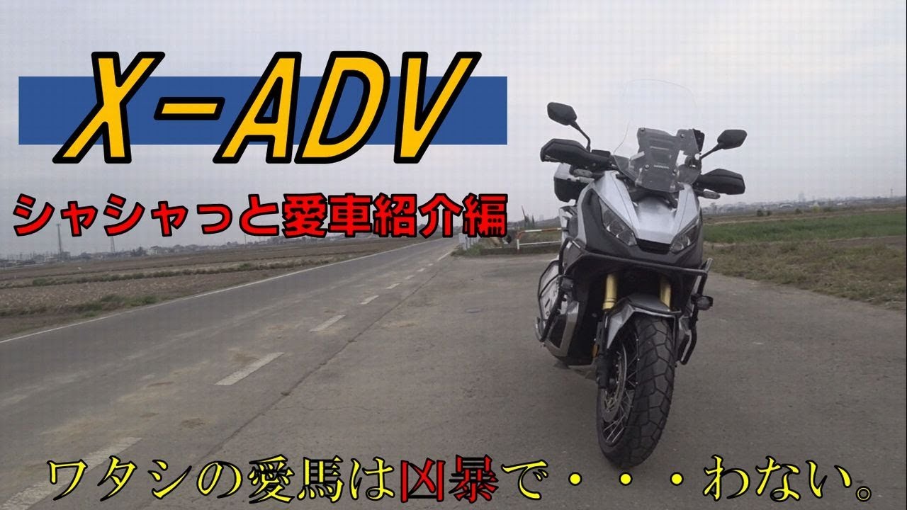 ワタシの愛馬はX-ADVです。(愛車紹介)　X-ADVモトブログ