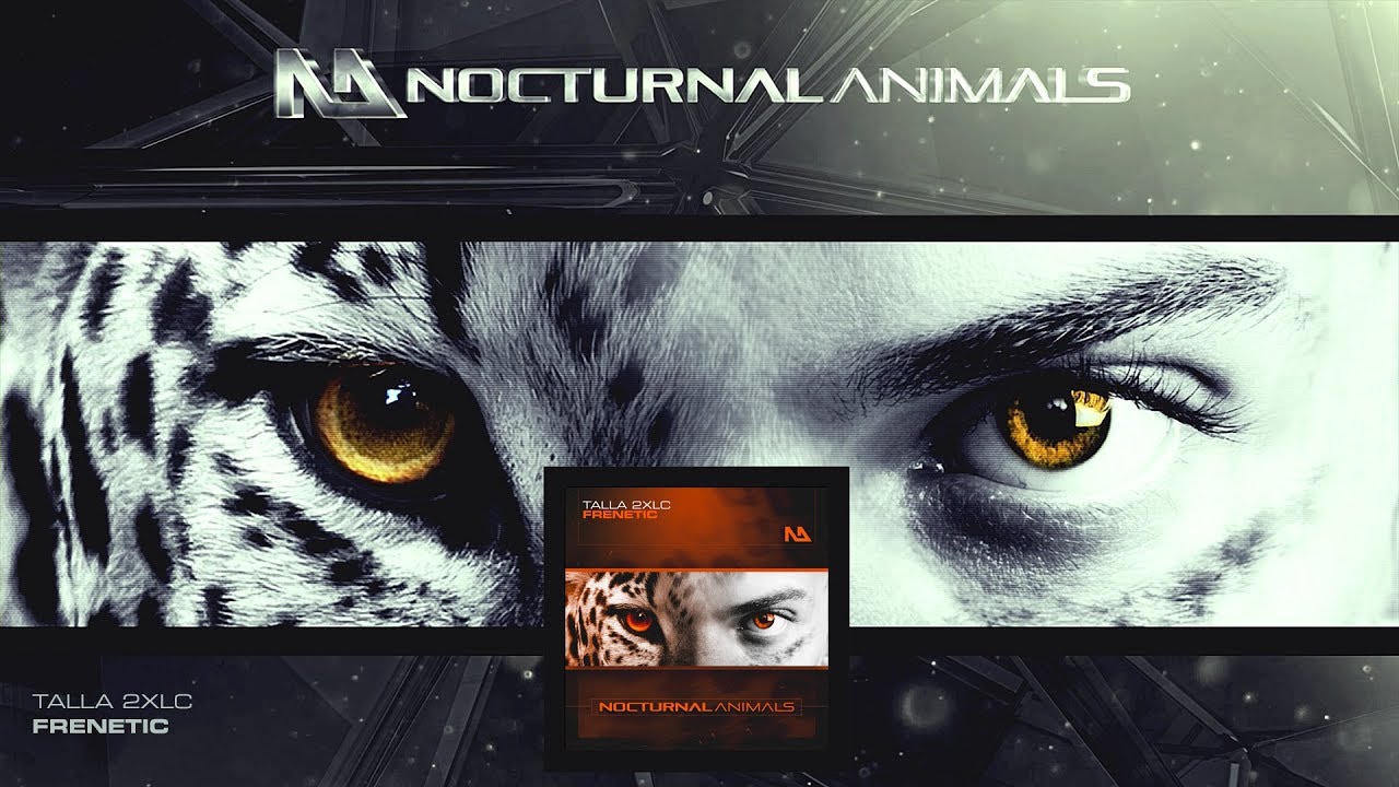 Talla 2XLC - Frenetic