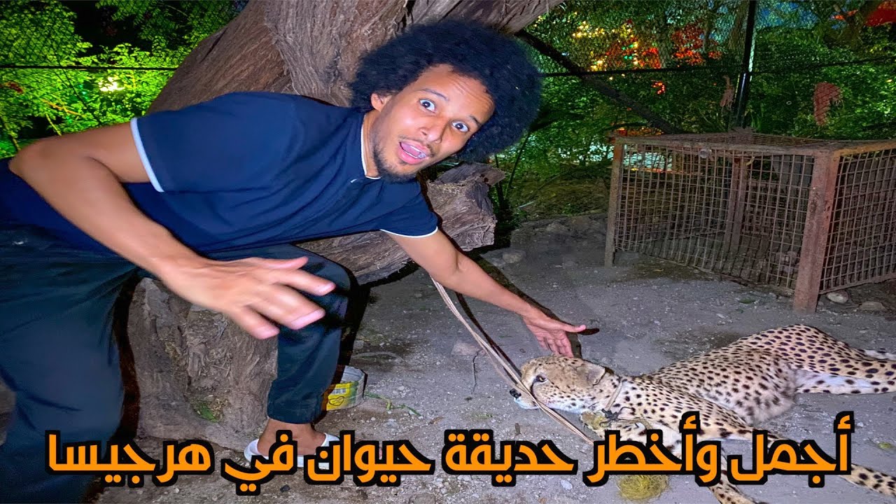 أخطر حديقة حيوان في هرجيسا أرض الصومال | HARGEISA‘S MOST DANGEROUS ZOO