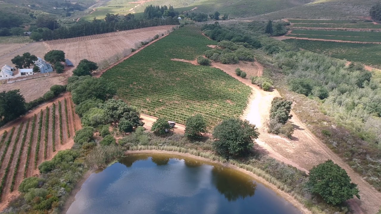 DJI SPARK in the Winelands 4k upscale. #Traveling #travelingram #travelingtheworld #travelingourplan