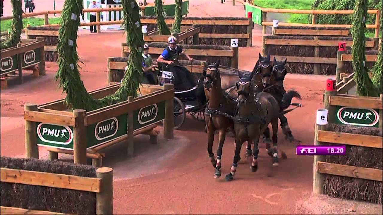 JEM 2014 : un extrait du passage de Thibault Coudry lors de l'épreuve d'attelage endurance