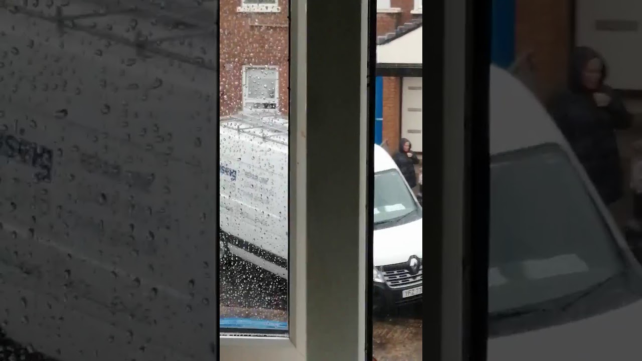 Belfast Neighbours Part 2