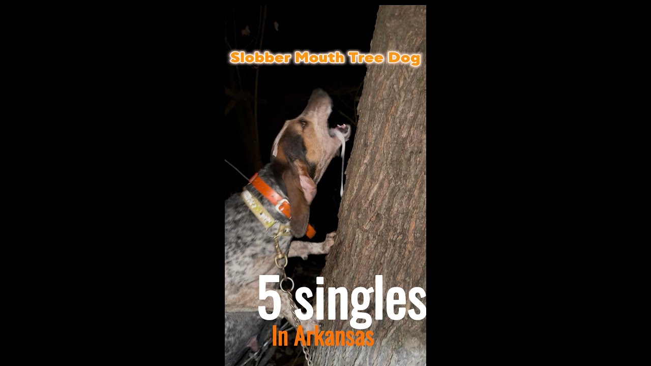 Slobber Mouth Tree Dogs (Arkansas Coon Hunt) *5 singles*