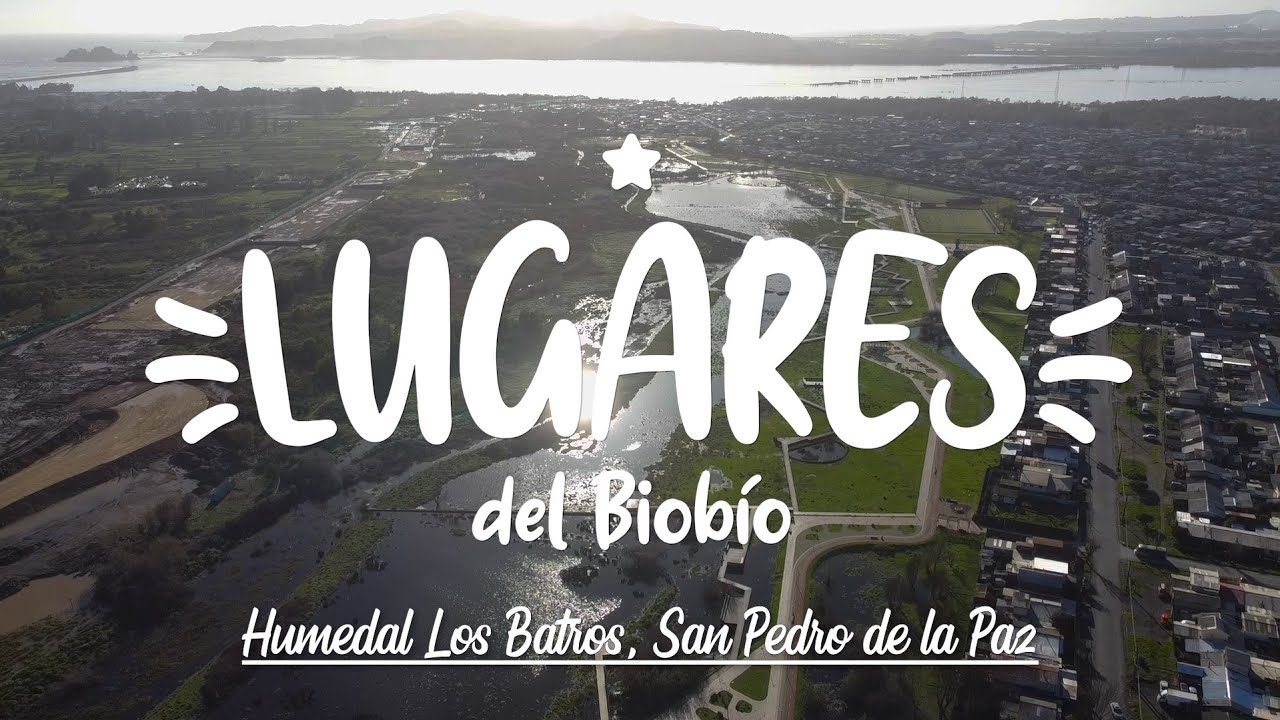 Lugares del Biobío #10 - Humedal Los Batros (San Pedro de la Paz) / Drone