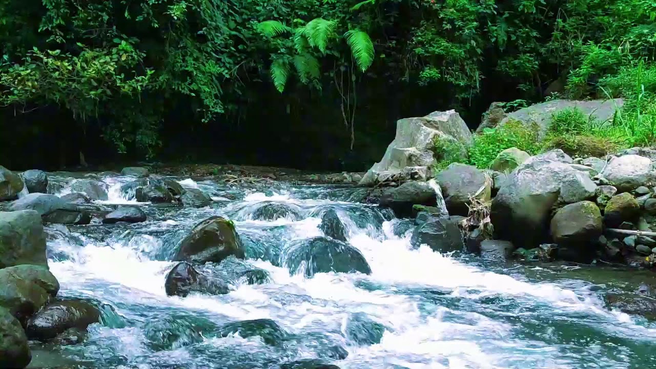Serenity River Sounds  10 Hours Deep Rest  Calm