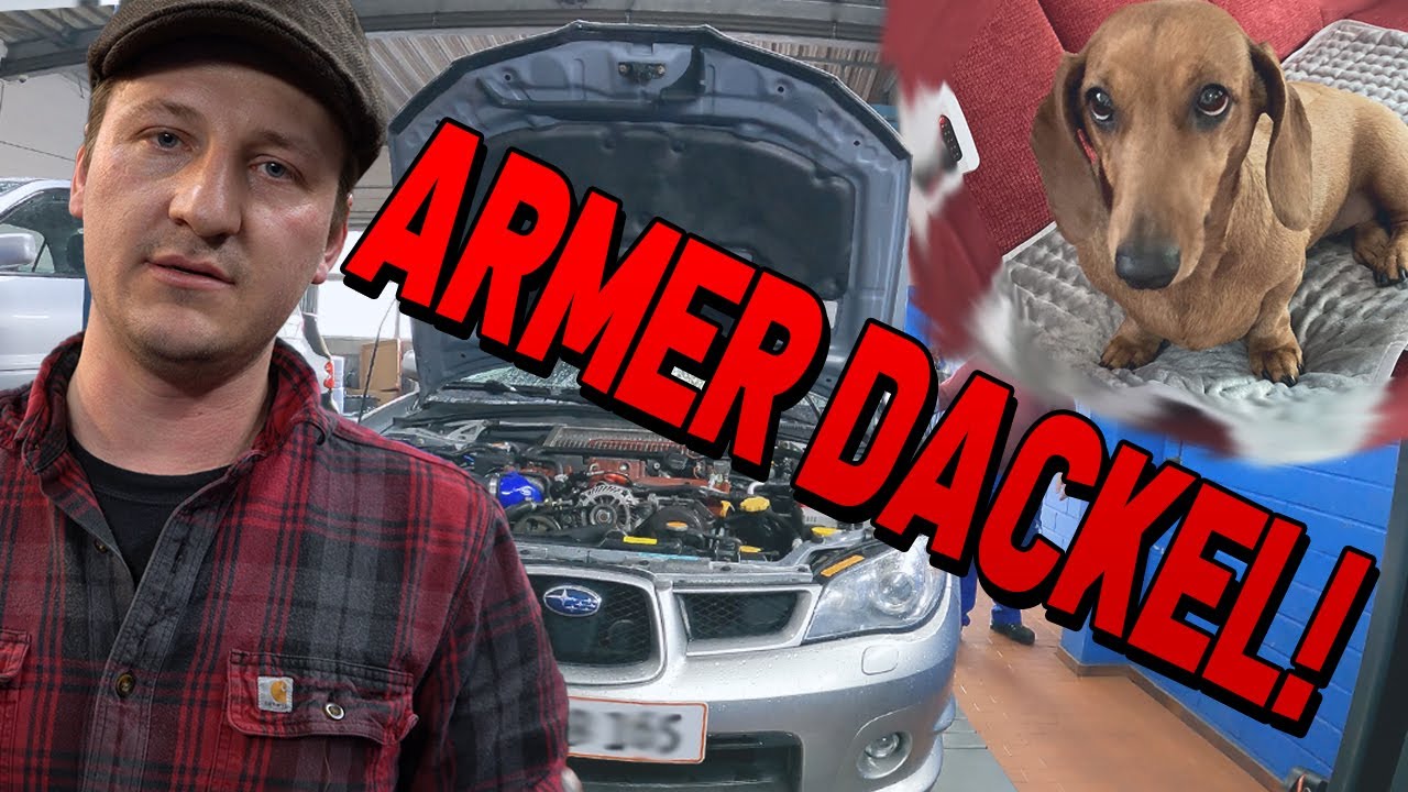 Neue Kupplung trennt nicht ! OP für Dackel | Vlog | Subi-Performance