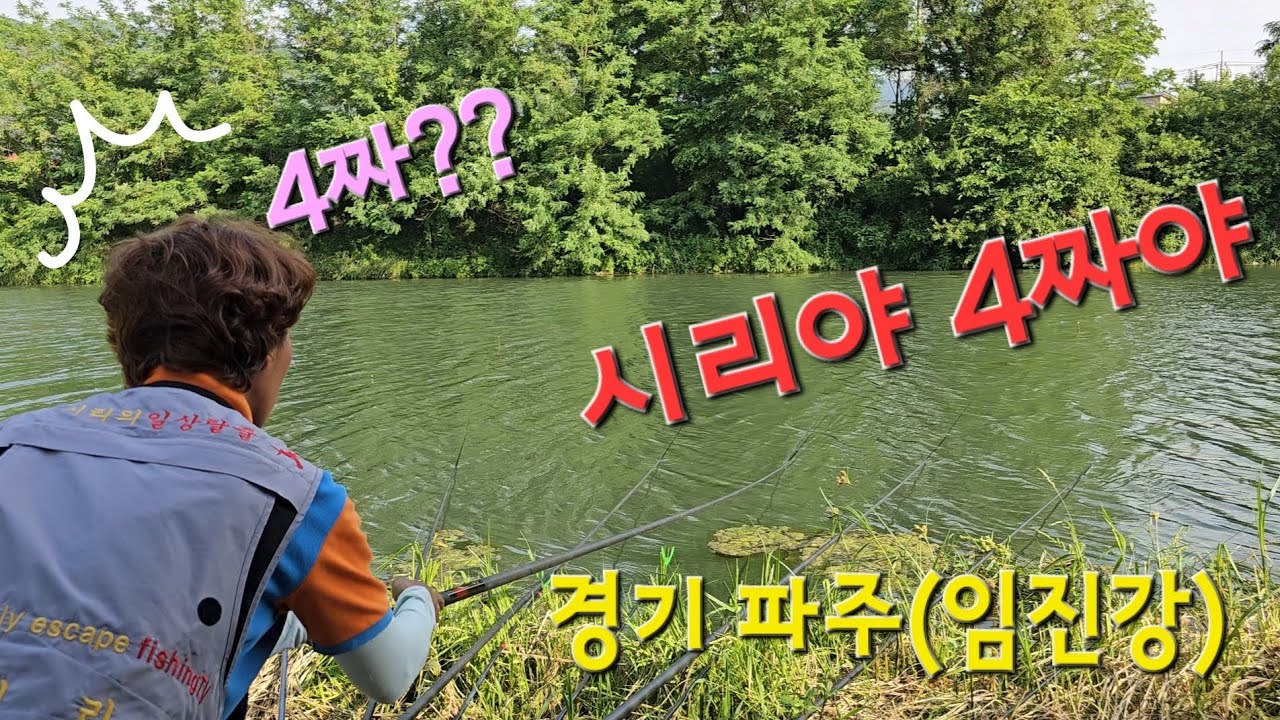 임진강 4짜?? 산속 소류지 같은 환상적인 포인트!! 경기 파주(임진강 라인 보)붕어낚시!!