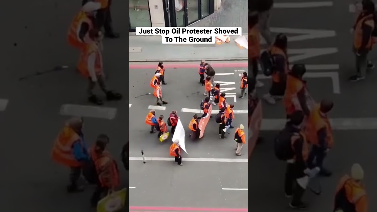 Just Stop Oil Protesters Attacked