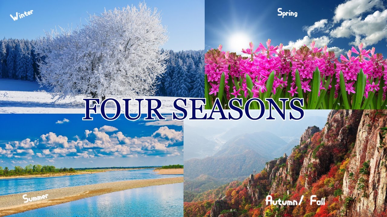 Four Seasons of Serenity 🍃❄️🌸☀️ | Relaxing Nature Views & Soothing Guitar Music for Stress Relief