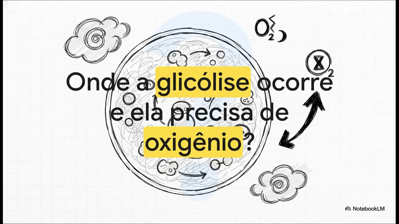 REVALIDA 2026 – Lógica do Metabolismo (Bioquímica para Prova)