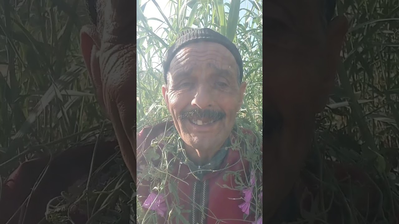 قصتين من أجمل القصص الشعبية مع بالهاشمي الحكواتي المغربي📜❤️❤️/#قصص_واقعية 