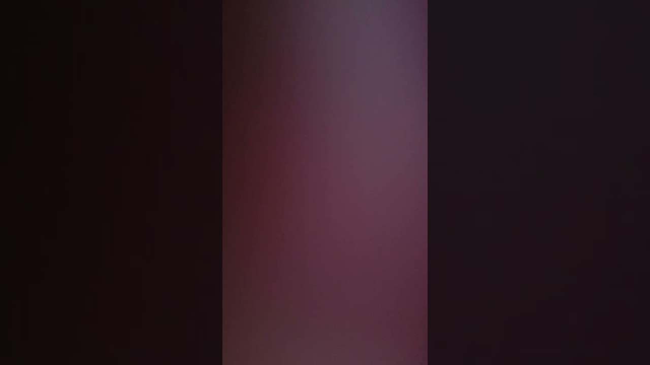 ١٩ فبراير ٢٠٢٦