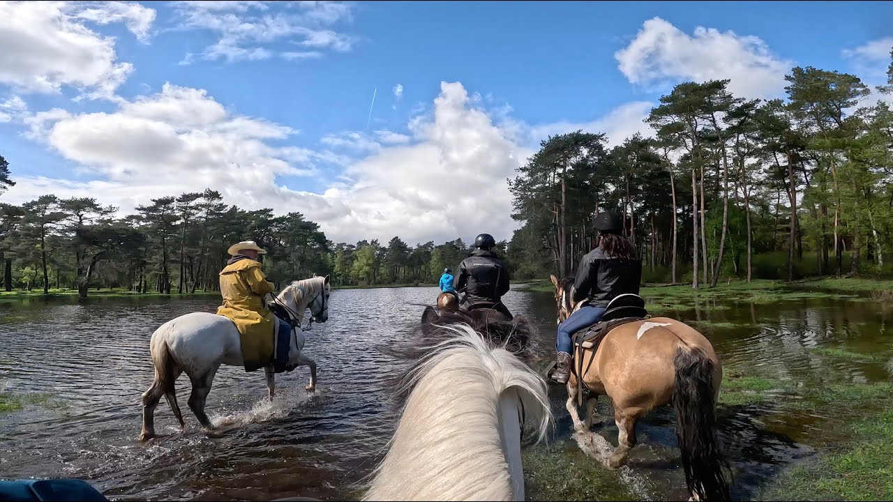 Mill Ranch - Wildrit - 20/04/2024