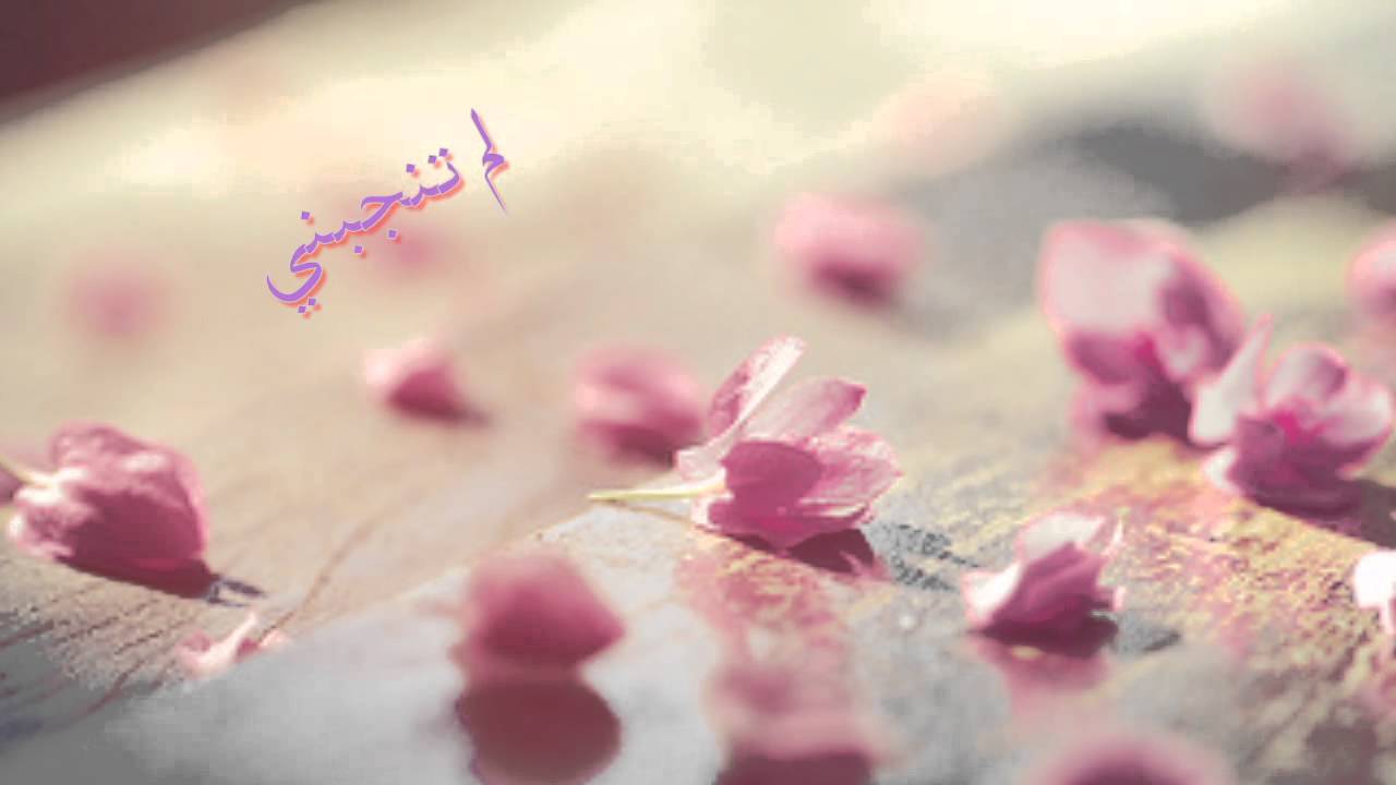 الى معلماتي