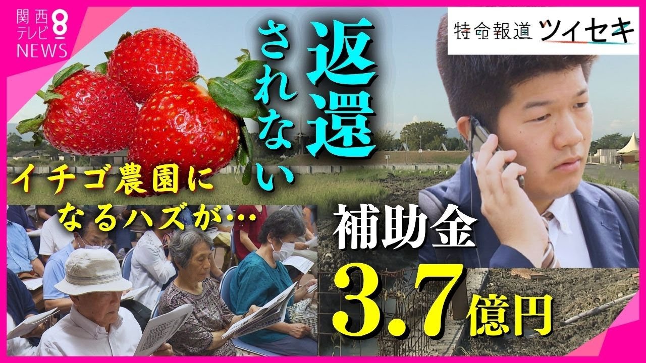 【ツイセキ】予定地はまだ更地　補助金3.7億円はどこへ　まちおこしの“イチゴ事業”がとん挫　市が肩代わり？事業者は返還せず　住民「こんなの聞いたことない！」　滋賀・高島市【関西テレビnewsランナー】
