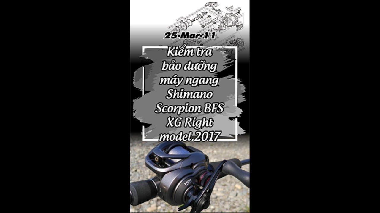 25-Mar-11 Kiểm tra bảo dưỡng m&aacute;y ngang Shimano Scorpion BFS XG Right model 2017