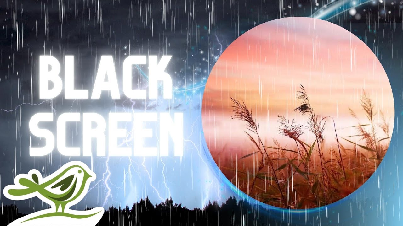 [NO ADS] Thunderstorm, Rain Sounds & Soft Piano Music for Deep Sleep by Soothing Night