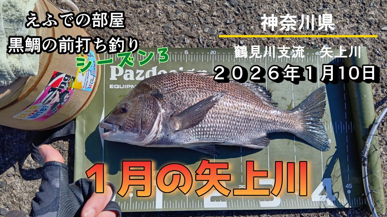 １月の矢上川
