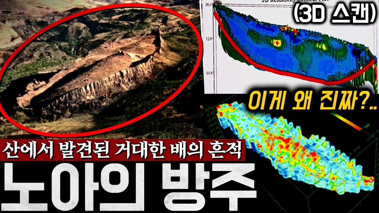 [실제] 산에서 발견된 거대한 