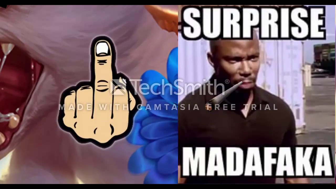 Fizz Ulti 5 Person THUG LİFE / TheKingSeko