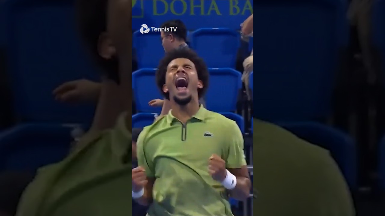 Последние впечатления от Филса! 🦁