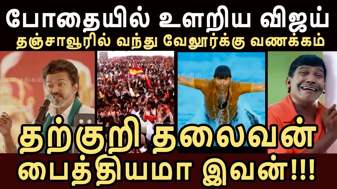போதையில் உளறிய விஜய் TVK Thanjavur Manadu Troll #vijay #tvkvijay #tvktroll #vijaytroll #trishavijay