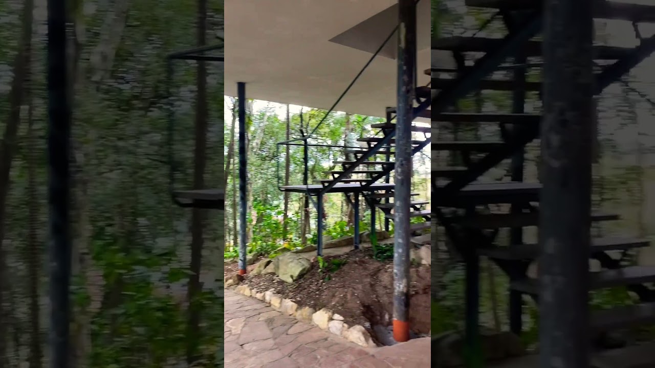#architecture #linabobardi #sp #casadevidro #brasil