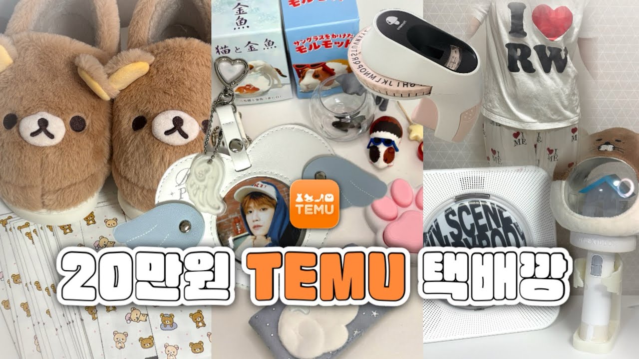 어서 와…. 테무 하울은 오랜만이지? | 원도어 브이로그