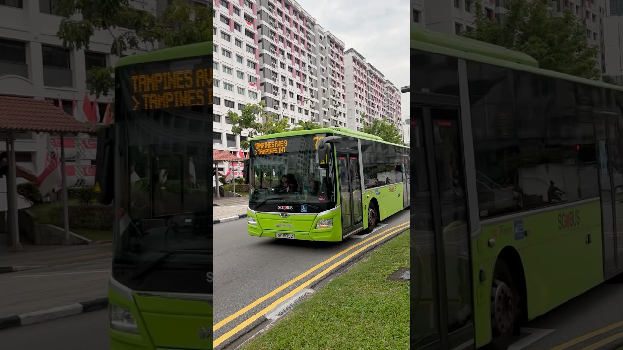 [Cameo] SG1875Z on Service 72 - SBST MAN A22 Euro VI Bus  #SG1875Z #sbstransit