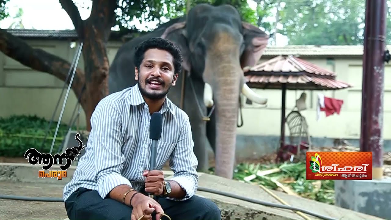 Thiruvambadi Sivasundar  ( Aana peruma  Episode -12 )