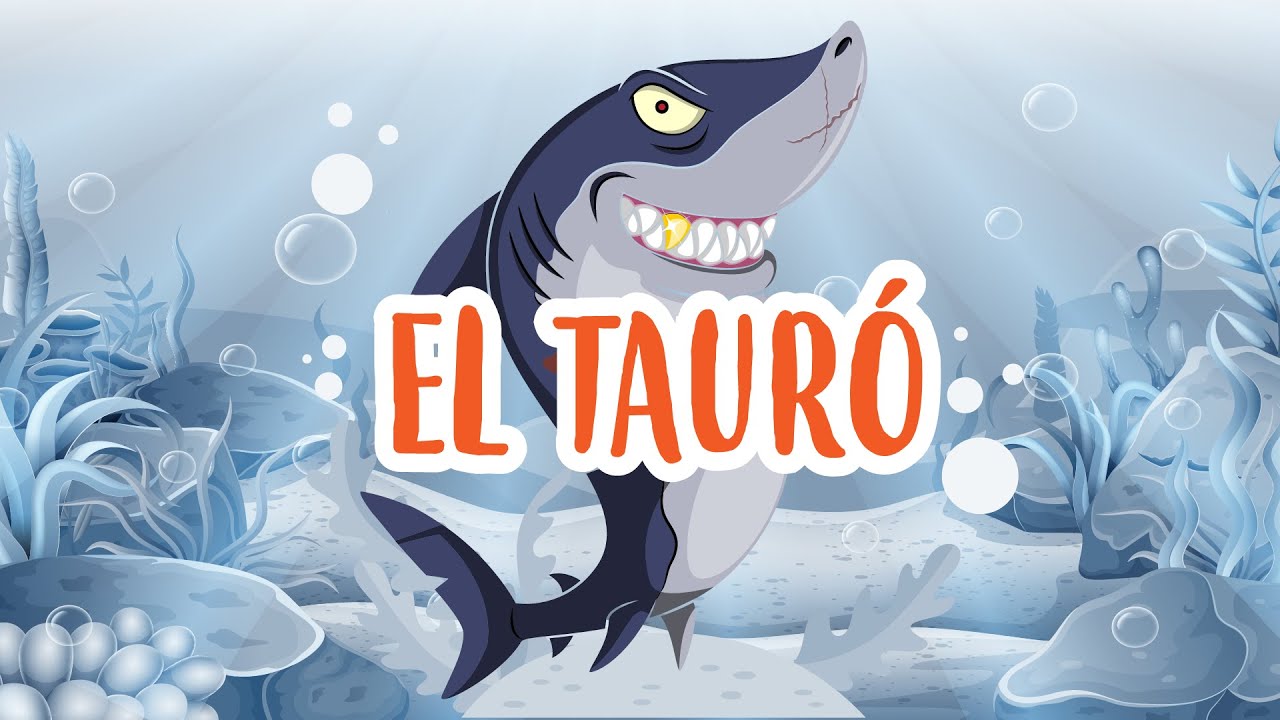 El tauró | Vídeos educatius per a nens en llengua catalana