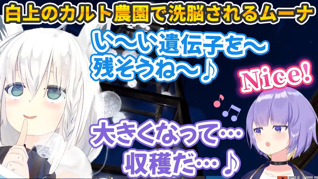 【#ホロ鯖RUST】白上農園のキテレツ洗脳曲を聞いて洗脳されてしまうムーナ・ホシノヴァ【ホロライブ切り抜き】
