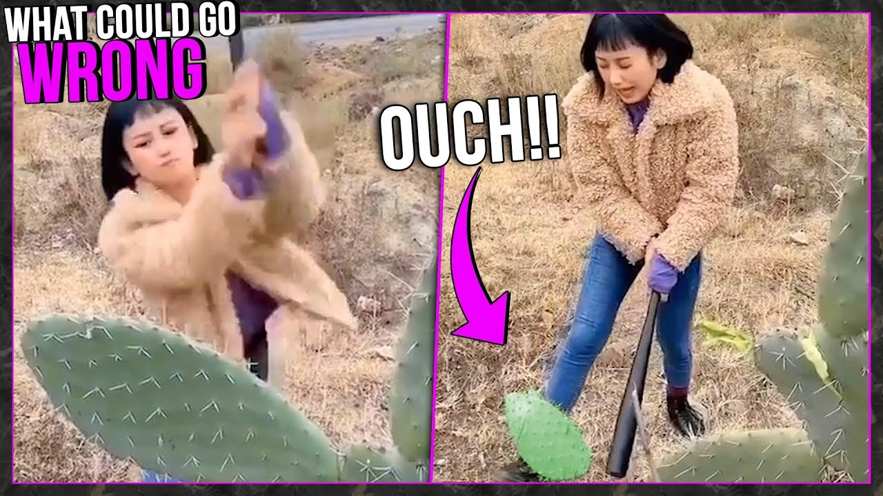 What Could Possibly go WRONG Compilation Episode 5 | Roaring Clips