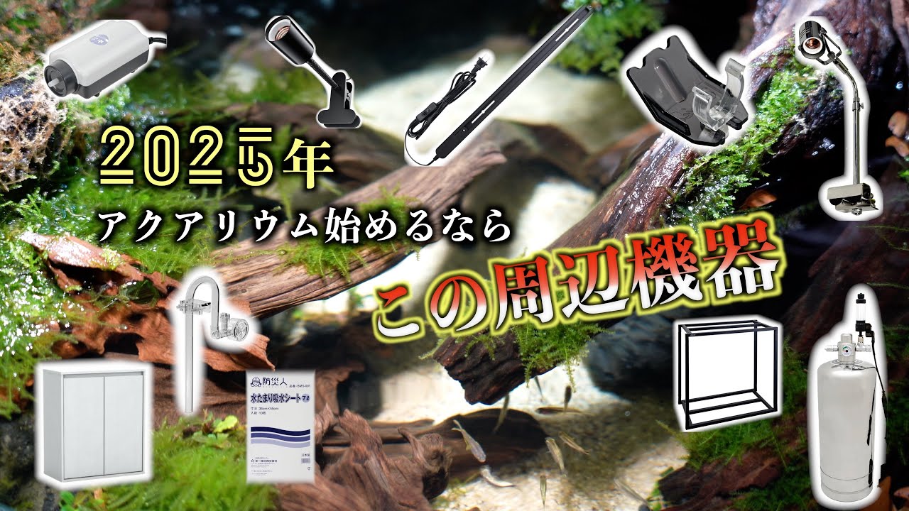 【周辺機器編】2025年これからアクアリウムを始めるならこの機材がオススメ！