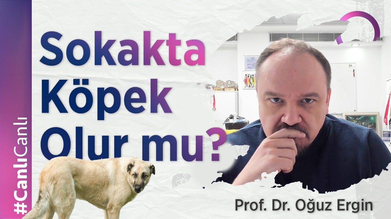 Sokakta Köpek Olur mu?