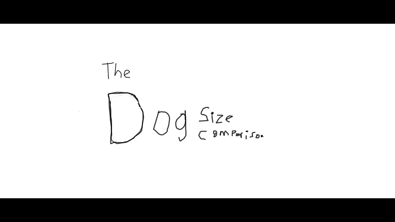 dog size comparison