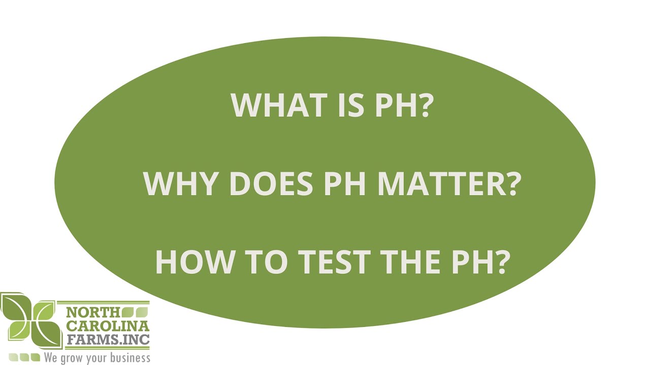 How To Test The PH in Your Greenhouse